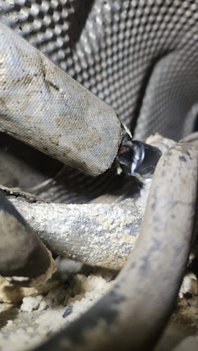 remont-i-diagnostika-avto-021